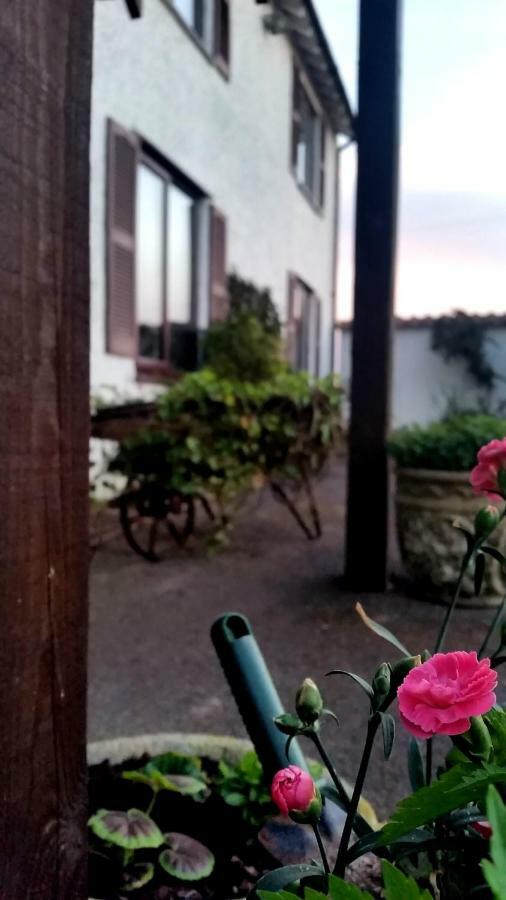 Miltons Country Lodge Lower Langford Buitenkant foto