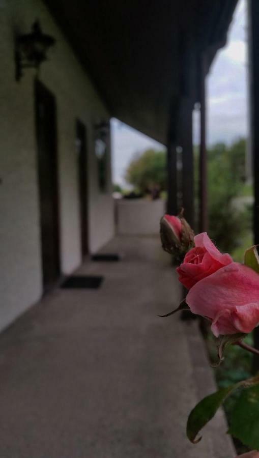 Miltons Country Lodge Lower Langford Buitenkant foto